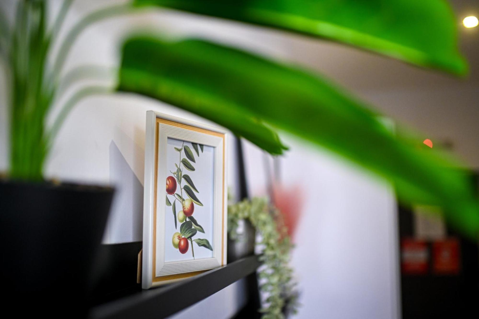 Urban Elegance - Stylish Central Accommodation Bukares Ruang foto